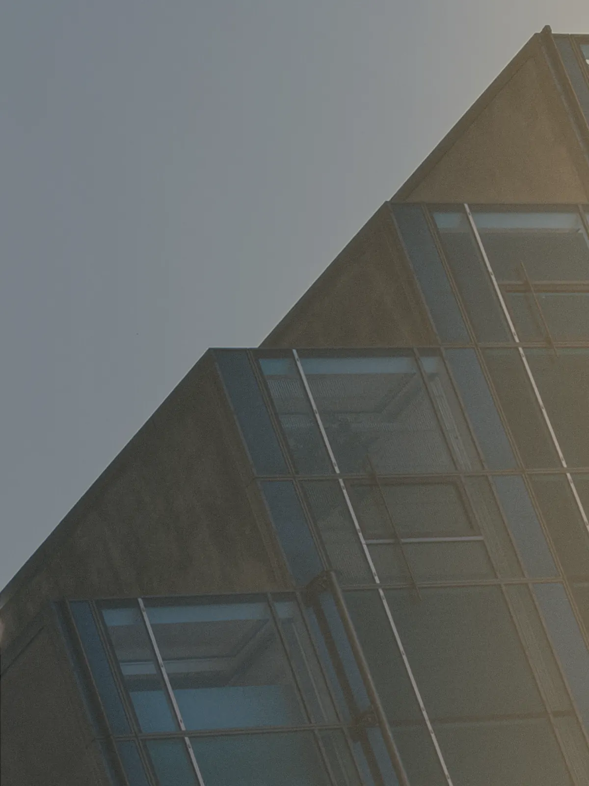 Modern architectural lines representing growth and structure